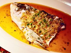 剁椒鱼头-凤凰湘语·海派湘菜(浦东旗舰店)
