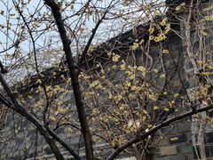 -南京民俗博物馆(甘熙故居)