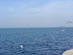 -大连海昌东方水城