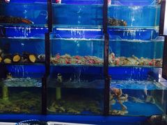 水产区-老东镇啤酒屋海鲜加工·蒸汽海鲜·海鲜烧烤(台东店)