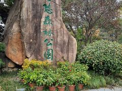 -昆山城市生态森林公园