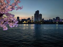 -武汉两江游览·夜游长江(汉口粤汉码头)