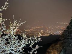 -赵记煎饼卷大葱(东岳店)