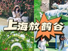 -栖露营camping·天幕烧烤·团建拓展·采摘营地