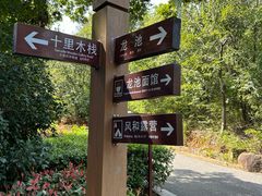 -白马涧龙池景区