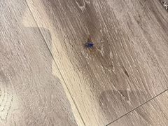 -宜尚酒店(广州上下九永庆坊长寿路地铁站店)