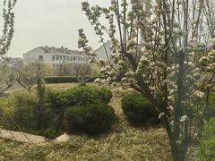 -泰安东尊华美达广场酒店(泰山景区店)