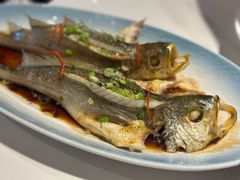 -33号大院·青岛本帮菜(五四广场店)