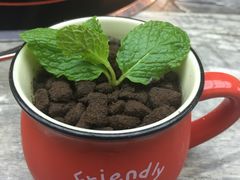 盆栽鲜芒果布甸-长勺子东南亚(街道口店)