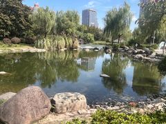 -新虹桥中心花园