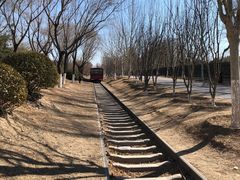 -永定河休闲森林公园