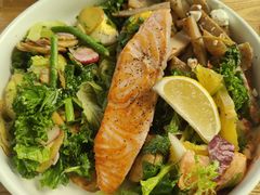 -Green Option(官舍店)