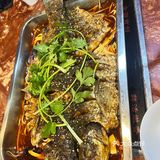 烤串也比所有的烧烤店串得长，国民良心老店