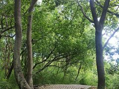 -苏州上方山国家森林公园