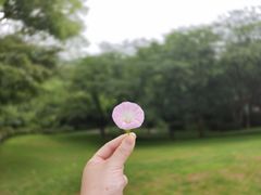 -中国茶叶博物馆(双峰馆区)