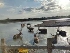 -宁波杭州湾国家湿地公园