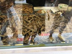-王浩儿纪六孃甜皮鸭(乐山总店)