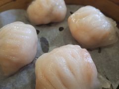 -添好运点心专门店(北角店)