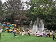 -燕塞湖鸟语林景区