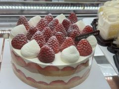 -多乐之日(华贸天地店)