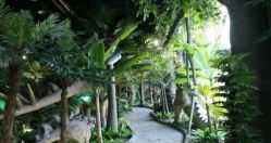 -恐龙探索乐园(磁器口店)