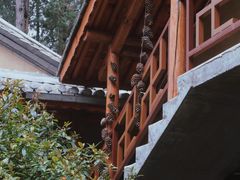 -寂照庵