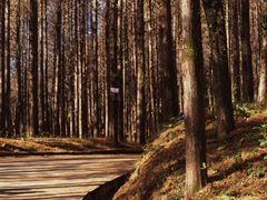 -山王坪喀斯特国家生态公园