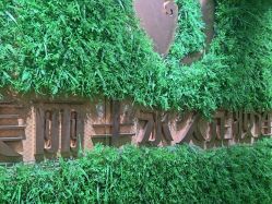 -变美丽半永久纹眉连锁·机器野生眉•洗眉