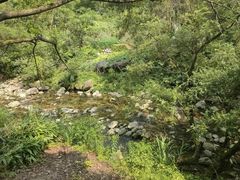-黄山翡翠谷景区