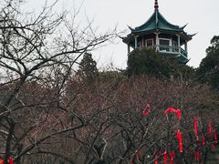 -无锡梅园公园
