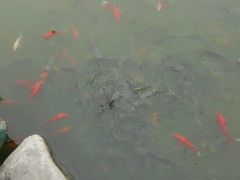 -燕郊植物园