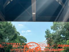 -上海海湾国家森林公园