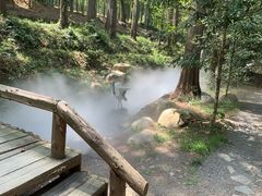 -东明山森林公园
