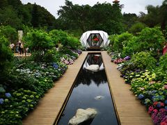 -深圳仙湖植物园