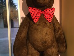 -济州岛泰迪熊博物馆