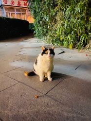 -酉嘉瑜伽YO+YOGA