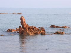 -小麦岛公园