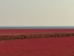 -红海滩国家风景廊道