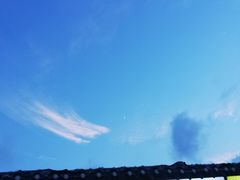 -利群海琴购物广场(商丘路店)