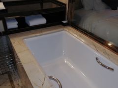 -长沙富力万达文华酒店