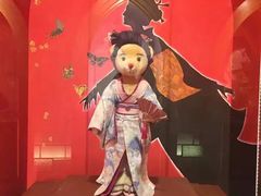-乐天免税店(明洞店)