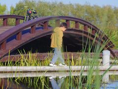 -永定河休闲森林公园