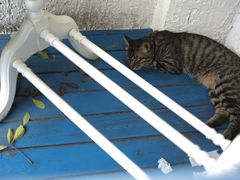 景观位-Sirena海妖日咖夜酒