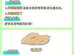 -申普宠物医院(总院)