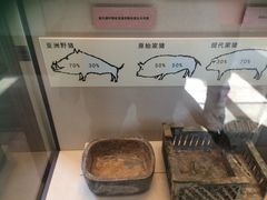 -北京动物园-畅观楼