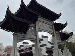 -堤角公园