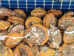 -红月湾海鲜饭店•沙滩海景(双月湾店)