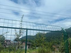 -炎帝陵景区