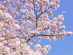 -龙美术馆(西岸馆)