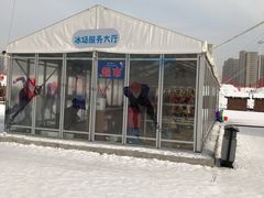 -丁香湖丁香小镇Citypark滑雪公园戏雪嘉年华